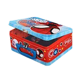 metal lunch case with handle